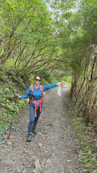 聖母登山步道～抹茶山2291891