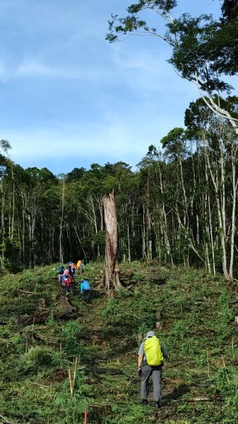 2025/7/12、7/13 西巒大山2839172