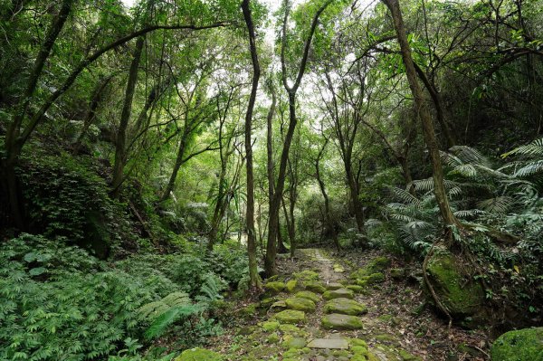 新竹 峨嵋 獅頭山、獅尾山、六寮山、猿山2450133