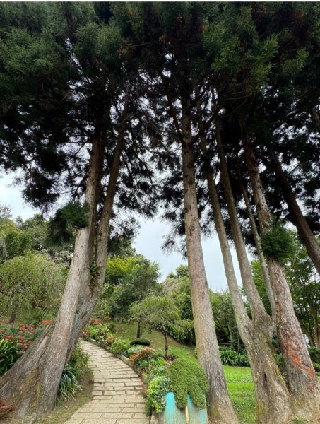 清泉 雪霸農場 野馬瞰山2925960