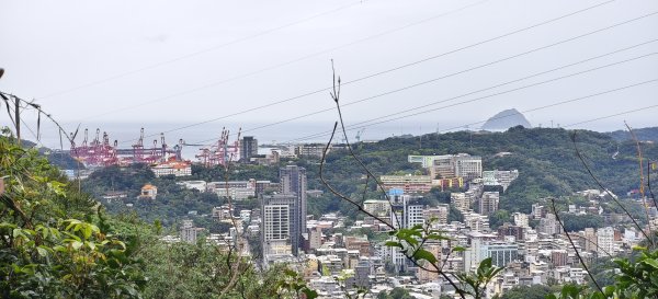 2026/03/01-紅淡山步道3010059