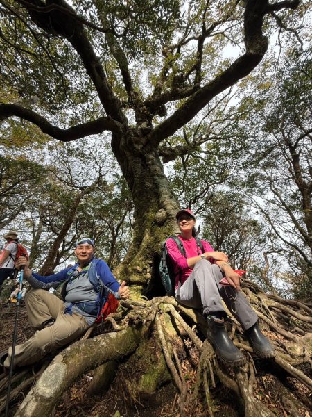 北得拉曼-內鳥嘴山2664598