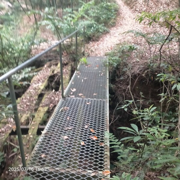 皮皮:三段崎古道2838654