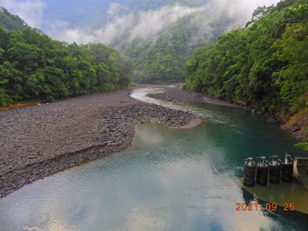 新北 烏來 落鳳山(呂奔山) (未竟)1468387