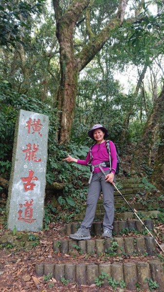 橫龍山、騰龍山（橫龍古道）1544728