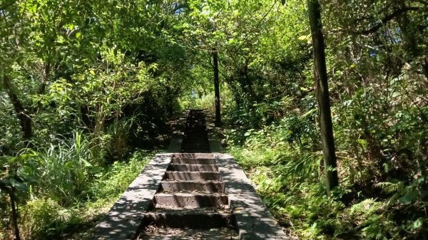 基隆市容軒步道-潮境公園雙膨山-七斗山(101高地)-望幽谷3112631