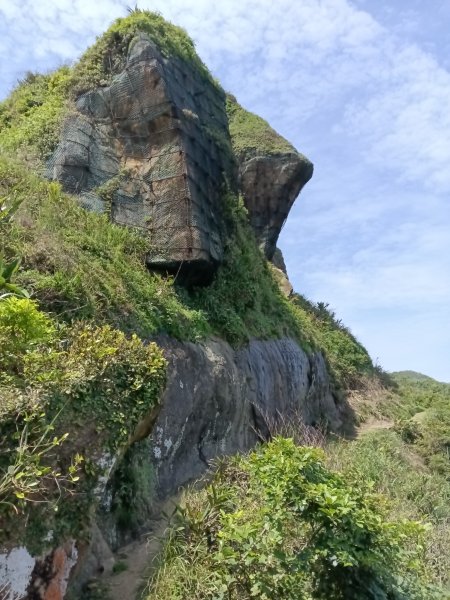 瑞芳區海園古道+鼻頭山稜+門牙岩O型2768342