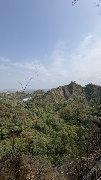 暴雨後（觀音山賞花