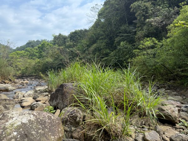 桂山路197巷 》呂奔山北峰 》呂奔山 》阿玉壩2755803