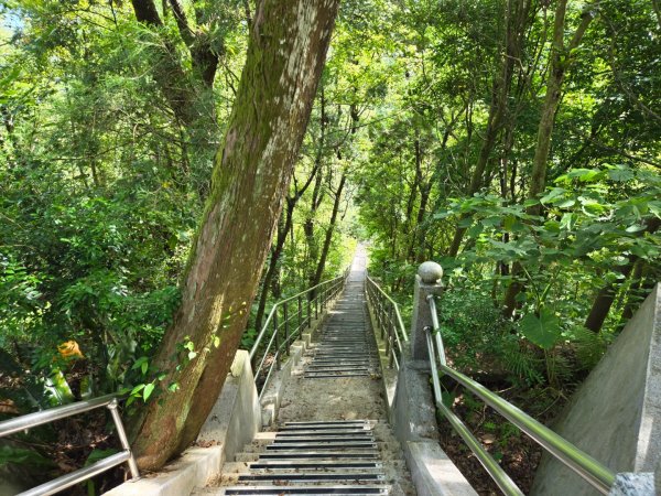 池南國家森林遊樂區2595261