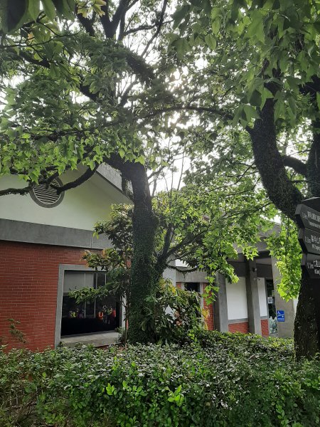 110 年春 登七星山1345723