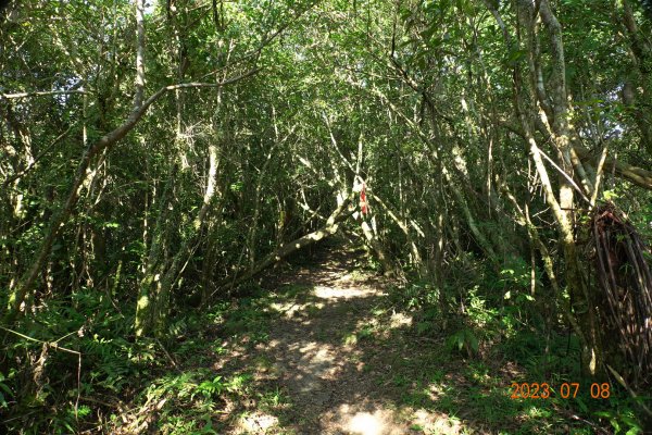 宜蘭 礁溪 鵲子山、五峰旗山、後湖子山2211625