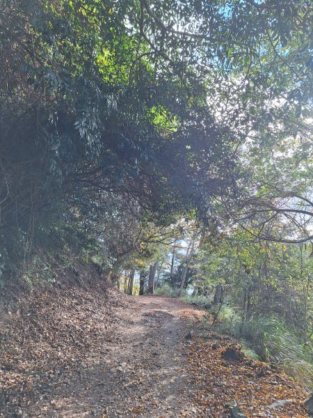 雪見駐在所+雪見山202512252971627