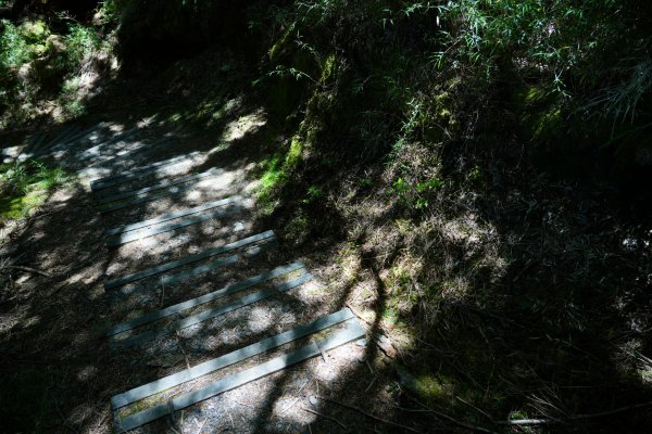 南橫三星 | 前緣再續。關山風月登庫哈諾辛、塔關山順訪中之關。1780036