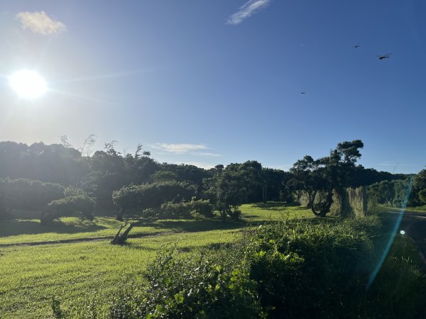 [屏步青雲 尋寶任務-07/10] 2024_1006 社頂自然公園步道2616771