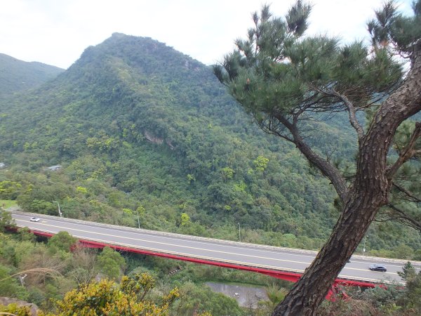 汐止區彩虹橋岩稜+柯子林山+金明山+如意湖O型2776150