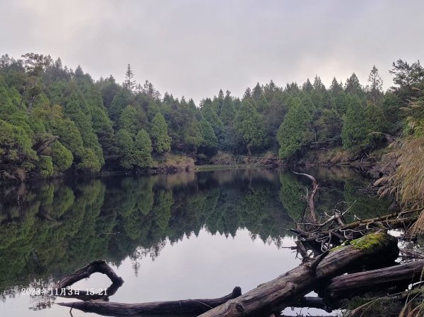 三星山+三星池+望洋山+太平山山毛櫸2432913