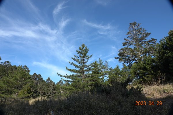 南投 仁愛 武法奈尾山2133757