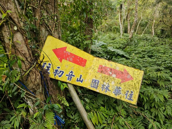 初音山-小百岳#88-花蓮縣吉安鄉2726091