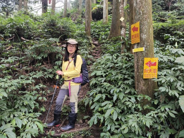 向天湖三山+ 南大龜山3012325