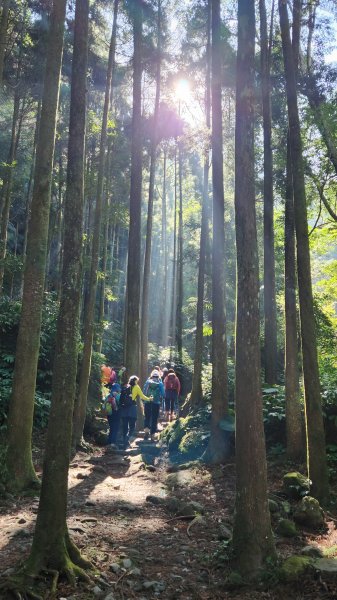 111/11/12新竹縣關西鎮馬武督森林、外鳥嘴山1908997