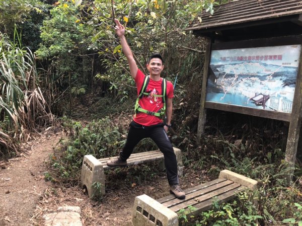 九份二山【在滿山雪白梅花中遇到翠綠樹蛙】506248