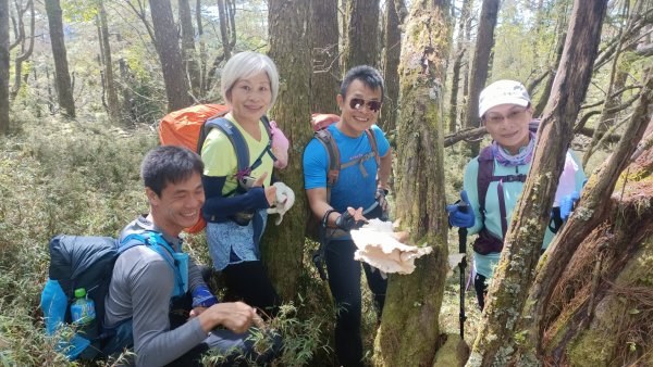 阿里山白雪村簡易版一日遊 2022年6月18日1738036