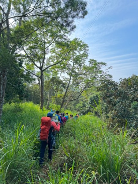 烏山嶺水利古道順走竹高崙山3連峰2670096