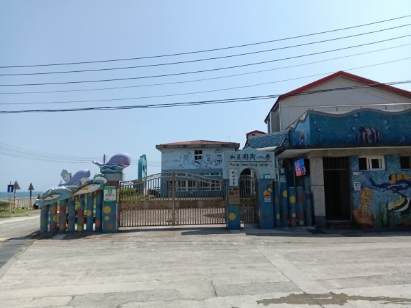 貢寮區龍洞灣岬步道+大禮堂海岸+釣客小徑+金沙灣碉堡野百合2765107