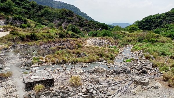 《龍飛鳳舞的龍鳳谷步道》1447225