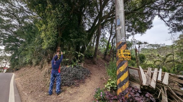 112.04.04王公坑山-烏塗窟山之開滿血藤花2120587