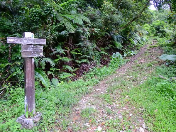 五指山古道連走新山夢湖