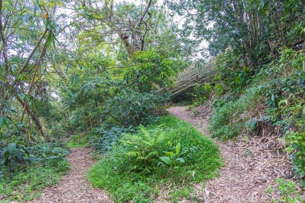 [台南]崁頭山2848488