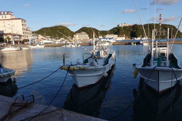 熊野古道小邊路.熊野三山2485511