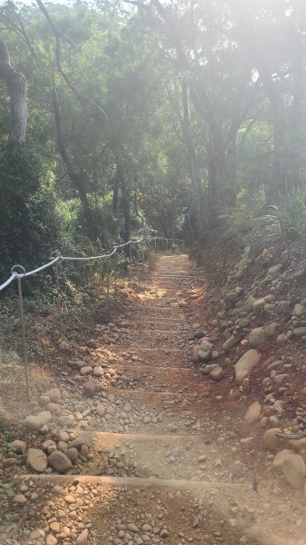 2026-0118新竹新埔文山步道2984655