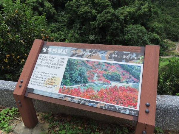 旱溪源頭自然生態區2878039