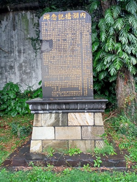 基隆河右岸尋花問草2091160