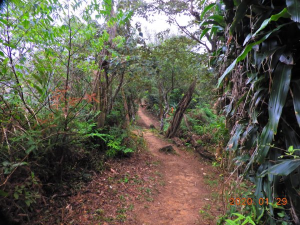 臺北市 文山 中埔山東峰817218