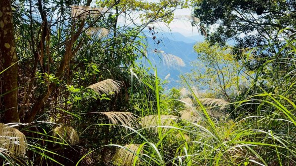 🌈1/4(日)來趣梅嶺~竹子尖山-獵鷹尖-一線天~梅子雞風味餐✨FB：熊熊趴爬走🌈2976844