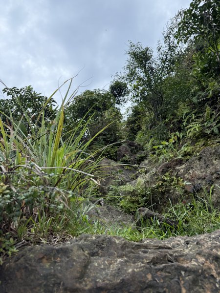淡蘭北路第一段：瑞芳車站至慶雲宮2876391