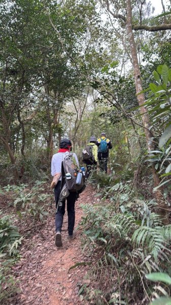 20260127三通嶺山.三義山(大桁茂山).慈濟山.大坪山大O走2990027