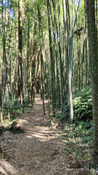 頂石棹步道群半日健行772690