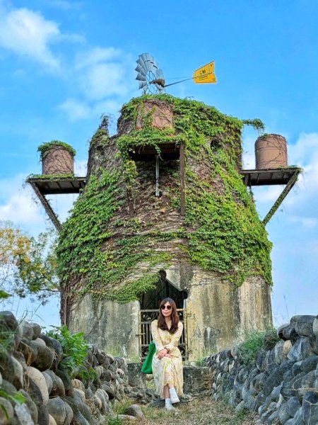 龍過脈森林步道2960913