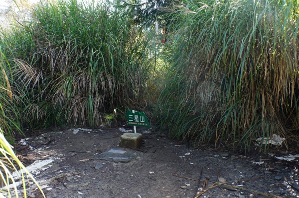 宜蘭 大同 三星山2890399