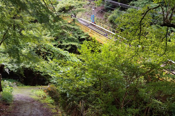 高野参詣道：不動坂に始まり祈りは奥の院へ2923226