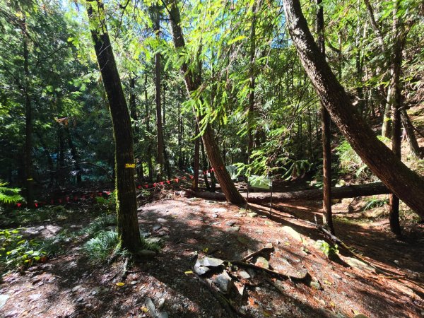 志佳陽大山／至高點／雪山大草原／瓢單山屋／四季蘭溪吊橋2927661