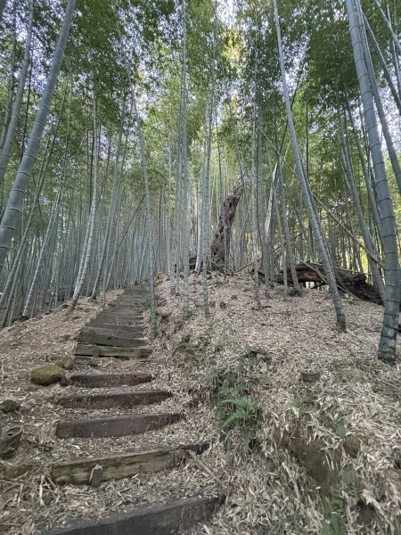 20251221嘉南雲峰、石壁山登山步道2968084