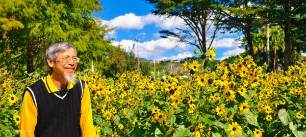 #花卉試驗中心 #永公路500巷 #平菁街42巷 #原住民公園 #士林官邸 1/42976519