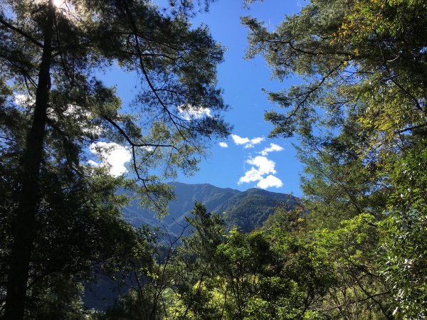 20161119_谷關七雄之四-波津加山873766