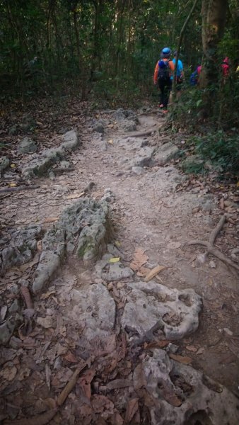 柴山石灰岩洞穴探險、泰國谷、一簾幽夢1578189